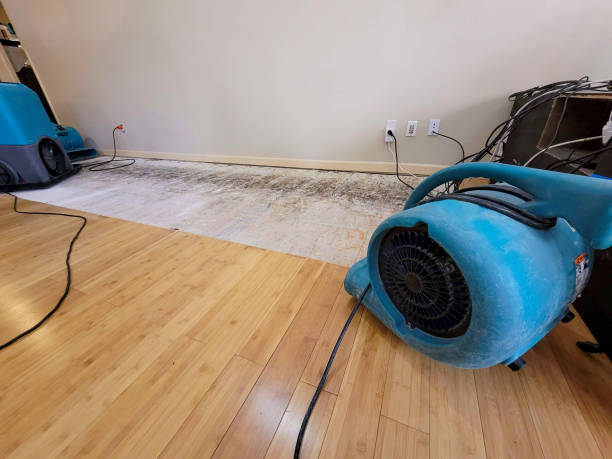 Professional Basement Flood Cleanup technician working in Methuen, MA